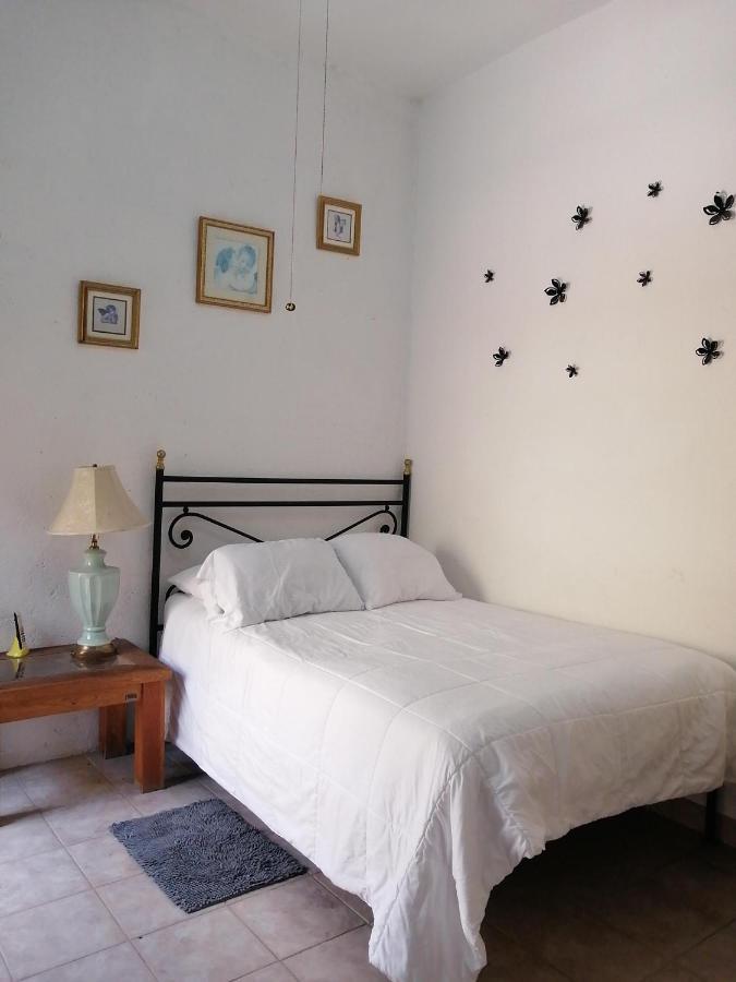 Hotel Alborada Allende ซานมิเกล เด อาเญนเด ภายนอก รูปภาพ